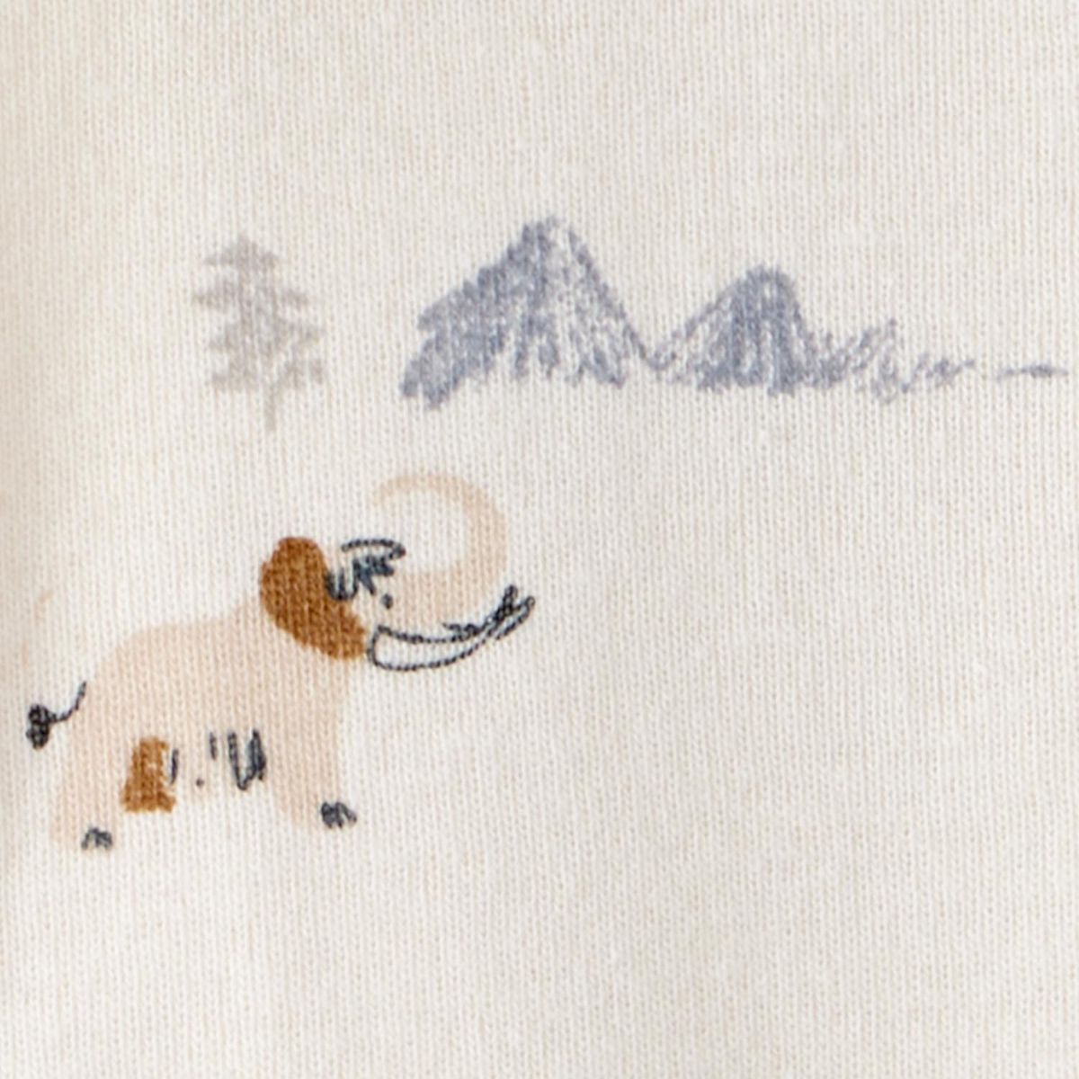 CARTER'S - Conjunto 3 Piezas Pantalón y Dos Body Bebé Niño Carter's