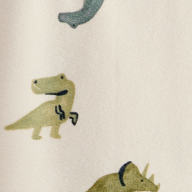 CARTER'S - Conjunto 2 Piezas Polerón y Pantalón Buzo Dinosaurios Niño Carter's