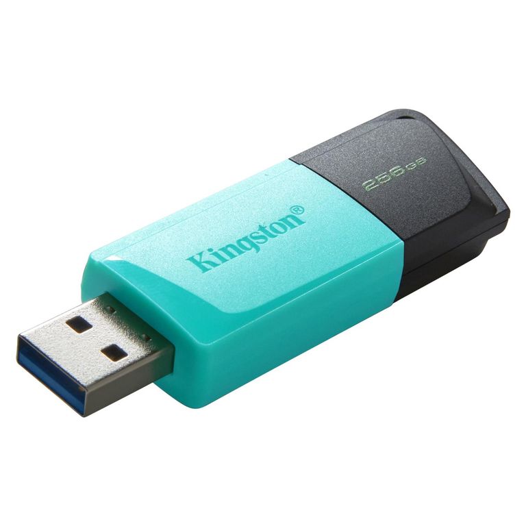 Pendrive Datatrav Exodia M 256 GB Kingston