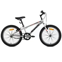 Bicicleta Infantil Wolf 20 St