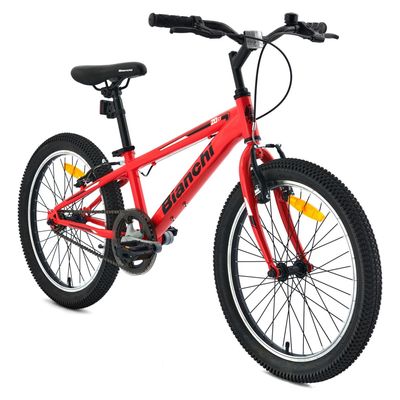 Imagen 2 del producto Bicicleta Infantil Wolf 20 St