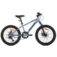 Bicicleta Mountain Bike Wolf 20 Sx