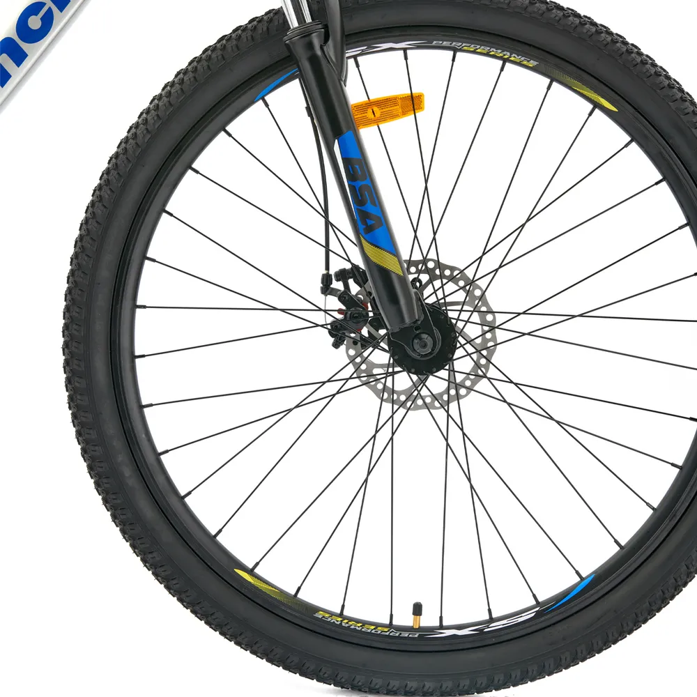 Bianchi Rekord 29 Plata, foto 4