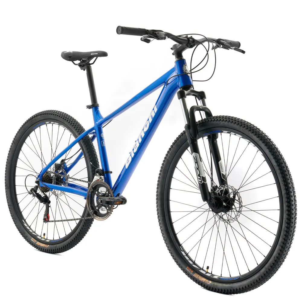 Bianchi Stone 29 SX Talla L Azul, foto 2
