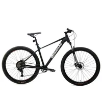 Mountain Bike Aggressor 29
