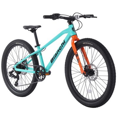 Imagen 2 del producto Bicicleta Mountain Bike Alloy 24