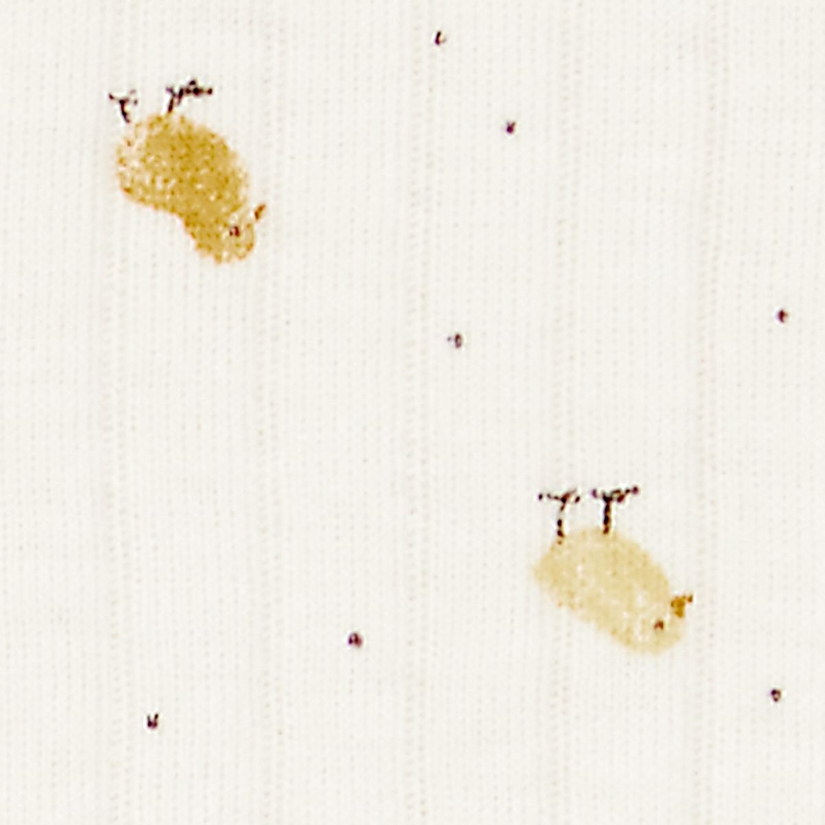 CARTER'S - Saco De Dormir Bebé Unisex Carter's