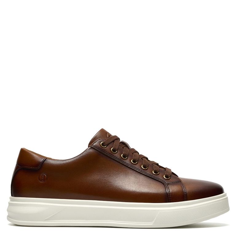 Zagoswell Zapatilla Urbana Hombre Cuero Café