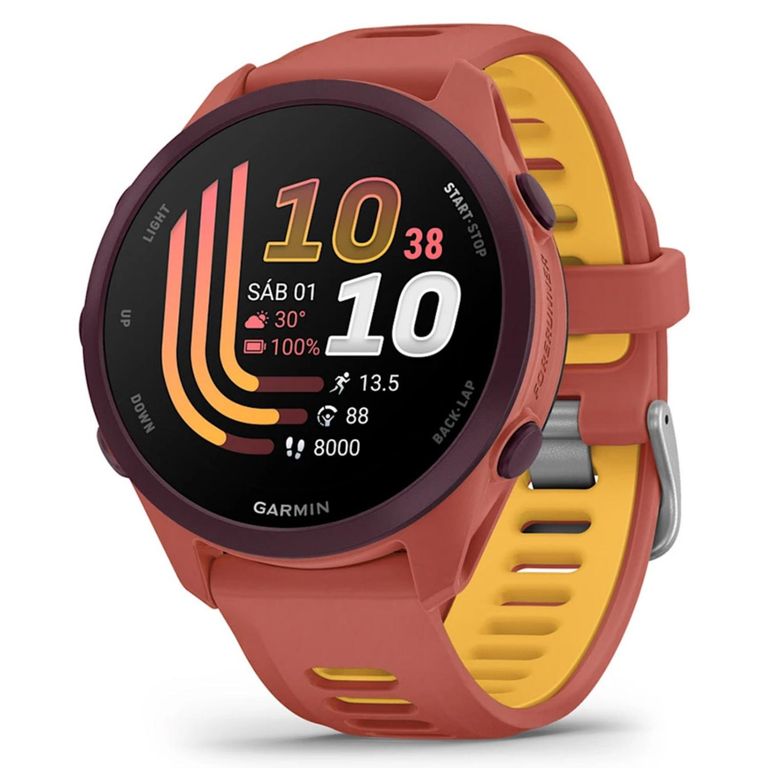 Smartwatch Forerunner 170 Music 43mm