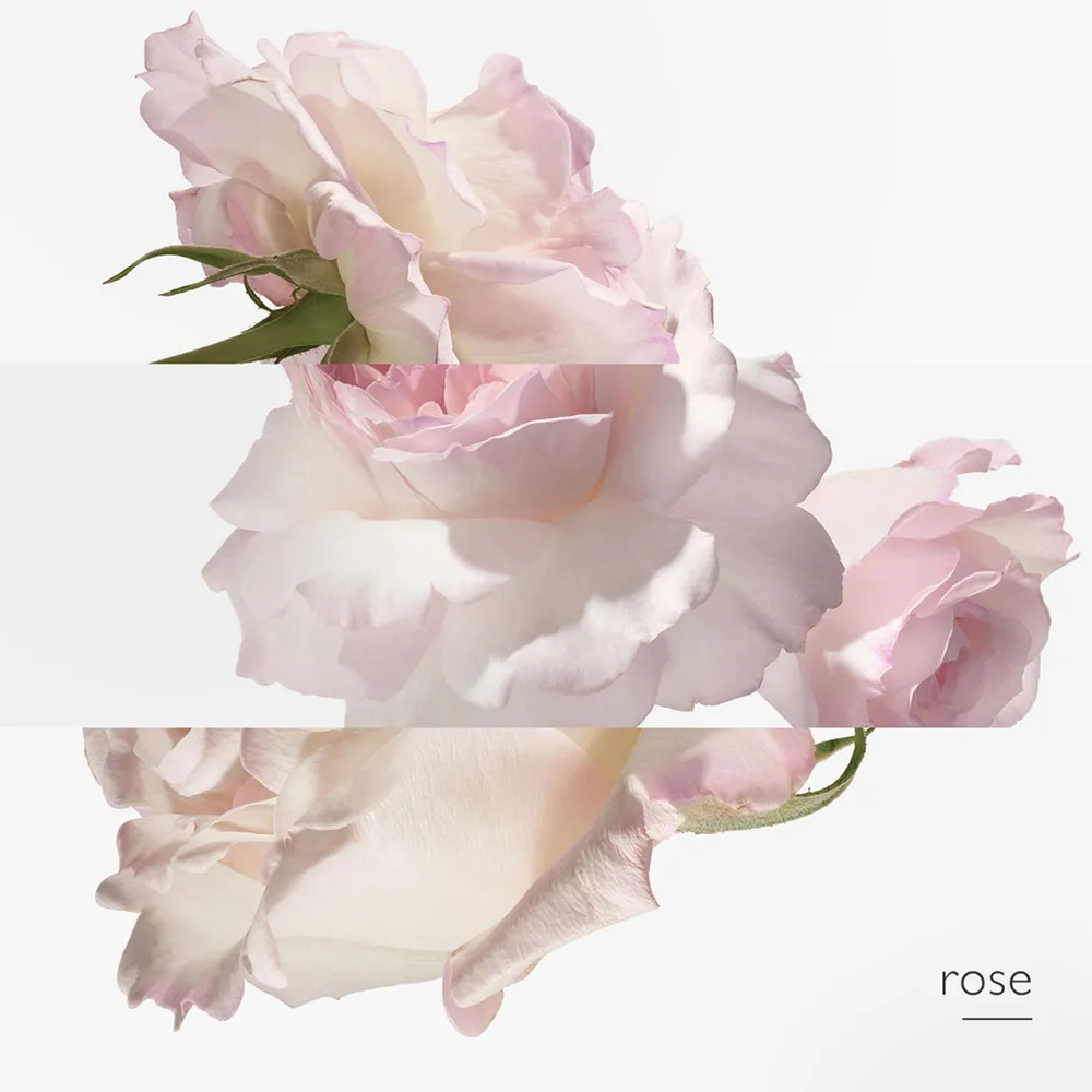 Hermès Eau de Pamplemousse Rose EDC 100 ml, foto 4