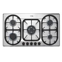 Encimera 5 Quemadores Gas Licuado