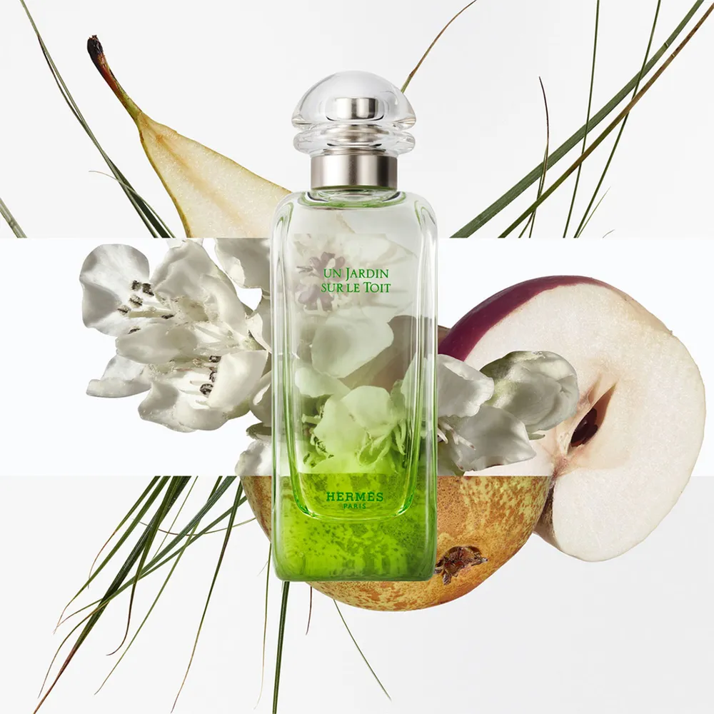 Hermès Un Jardin sur le Toit EDT 100 ml, foto 3