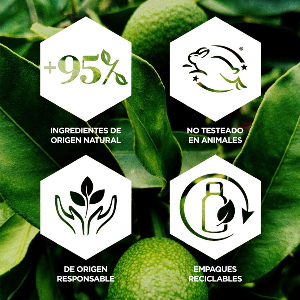 BURTS BEES - Loción Refrescante After Sun con Aloe y Tilo 175ml BURTS BEES