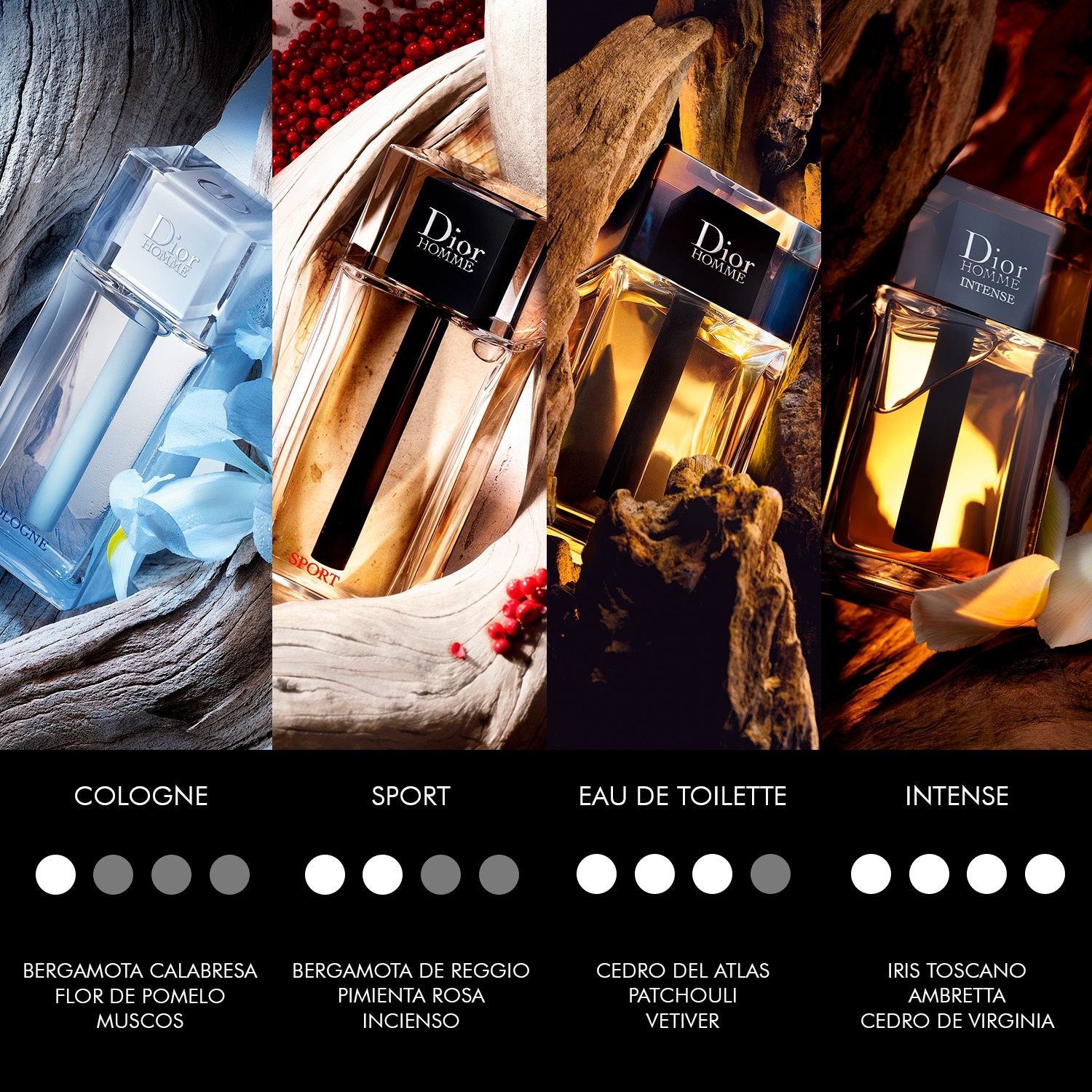 DIOR Perfume Hombre Cologne Oriental Dior | Falabella Chile
