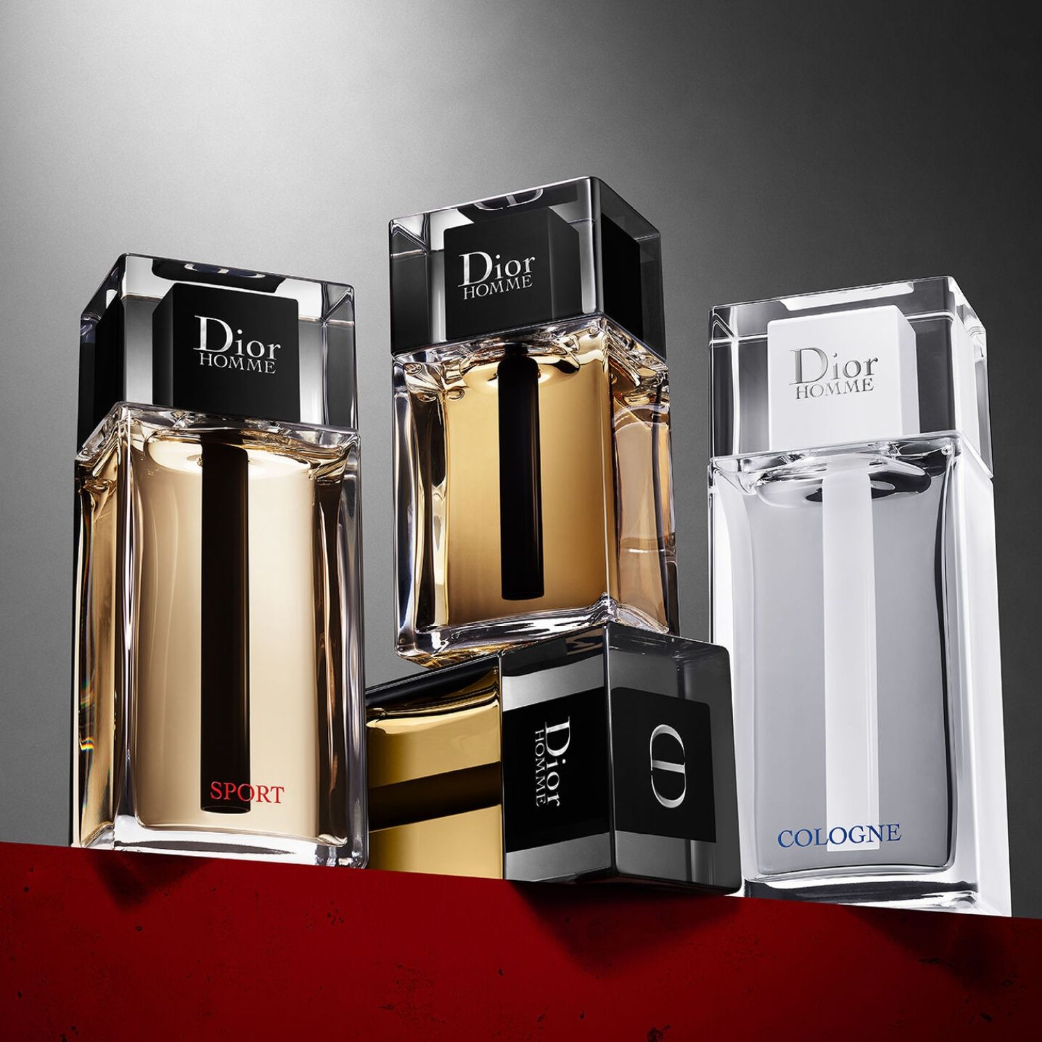 Dior　HOMME Dior Homme Intense EDP 100Ml Hombre | Lodoro Perfumes