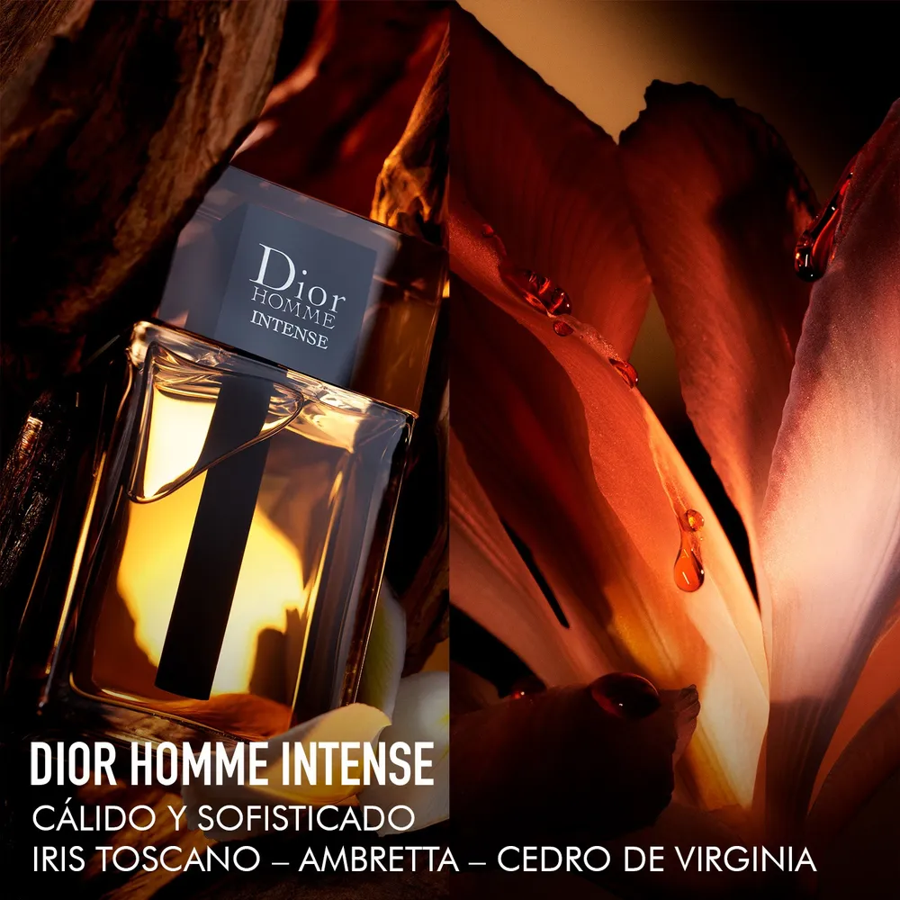 Dior Homme Intense EDP 100 ml, foto 3