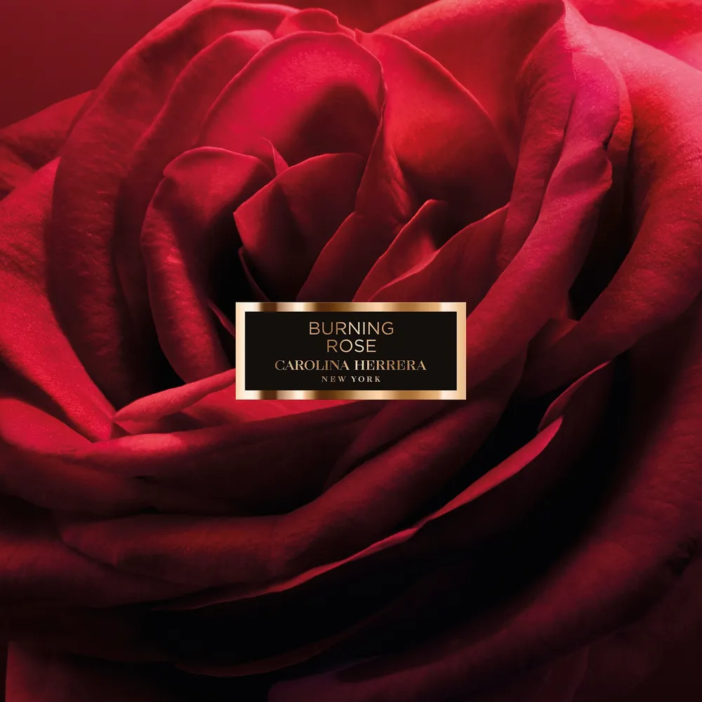 Carolina Herrera Burning Rose EDP 100 ml, foto 7