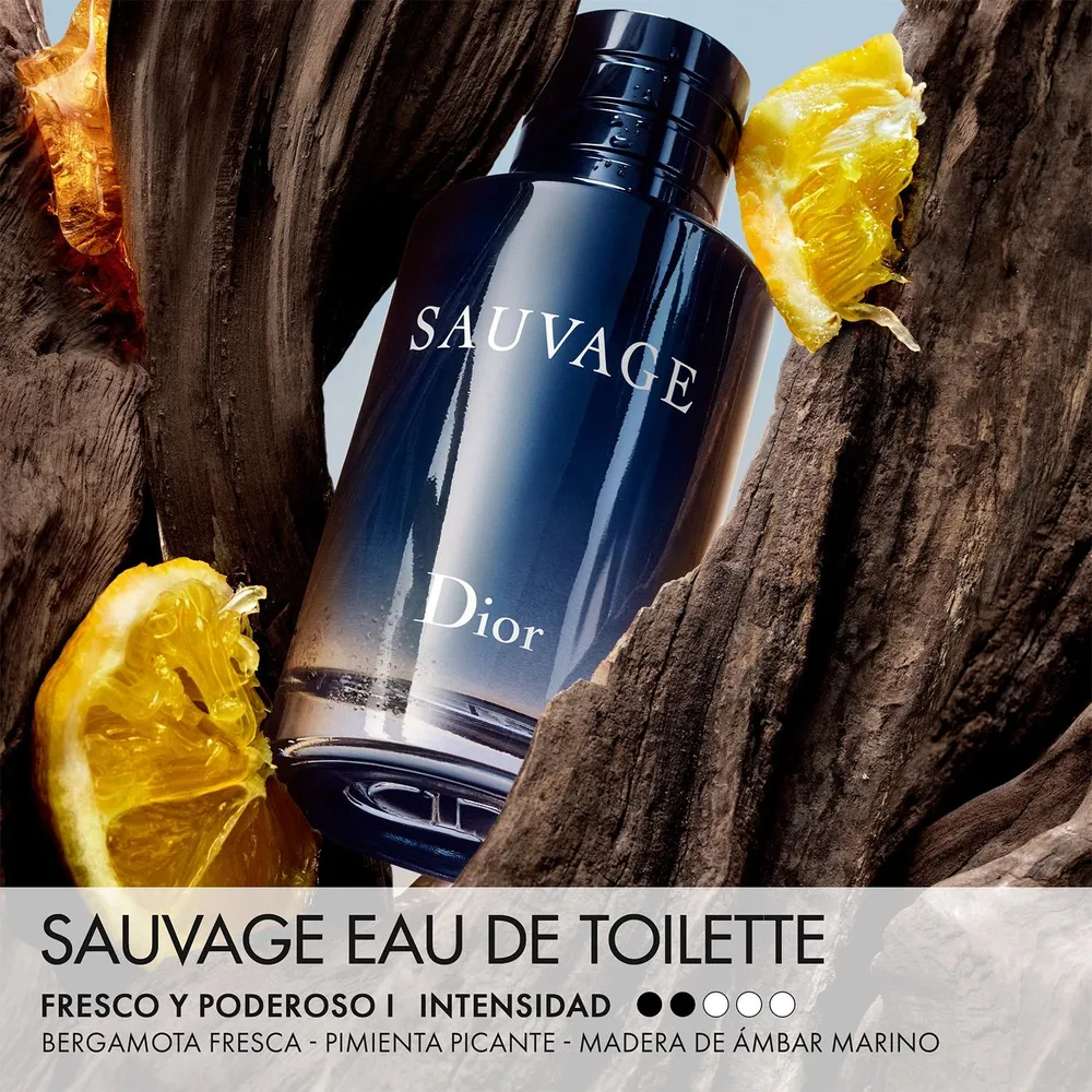 Dior Sauvage EDT 100 ml, foto 3
