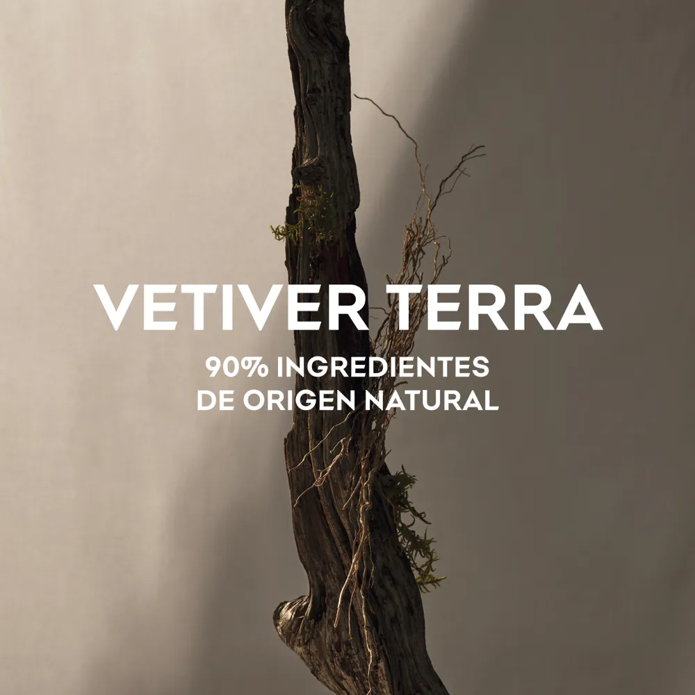 Adolfo Domínguez Vetiver Terra EDP 120 ml, foto 7