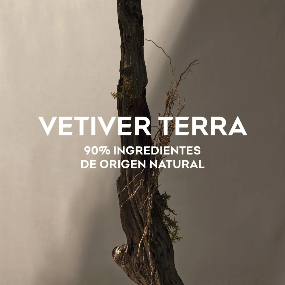 Adolfo Domínguez Vetiver Terra EDP 120 ml, foto 9