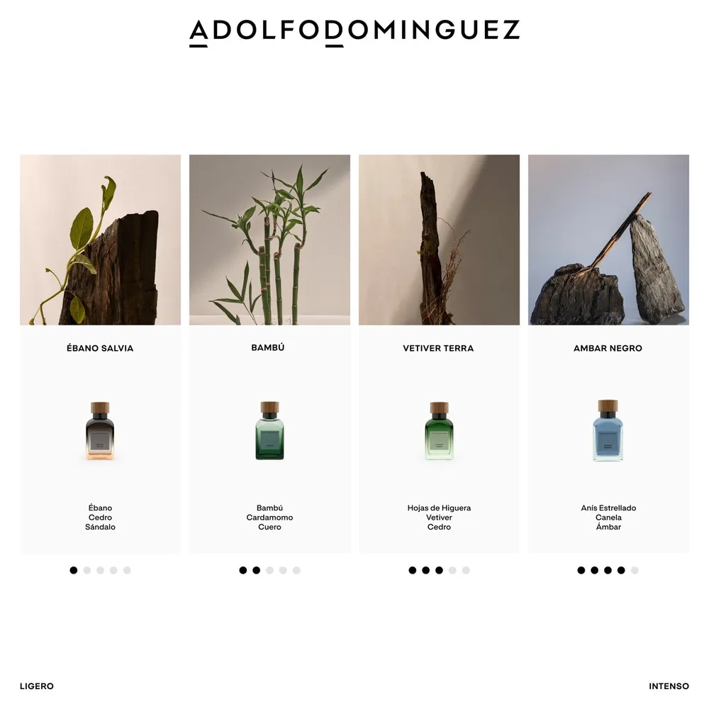 Adolfo Domínguez Vetiver Terra EDP 120 ml, foto 8