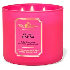 BATH & BODY WORKS - Vela Grande Cactus Blossom