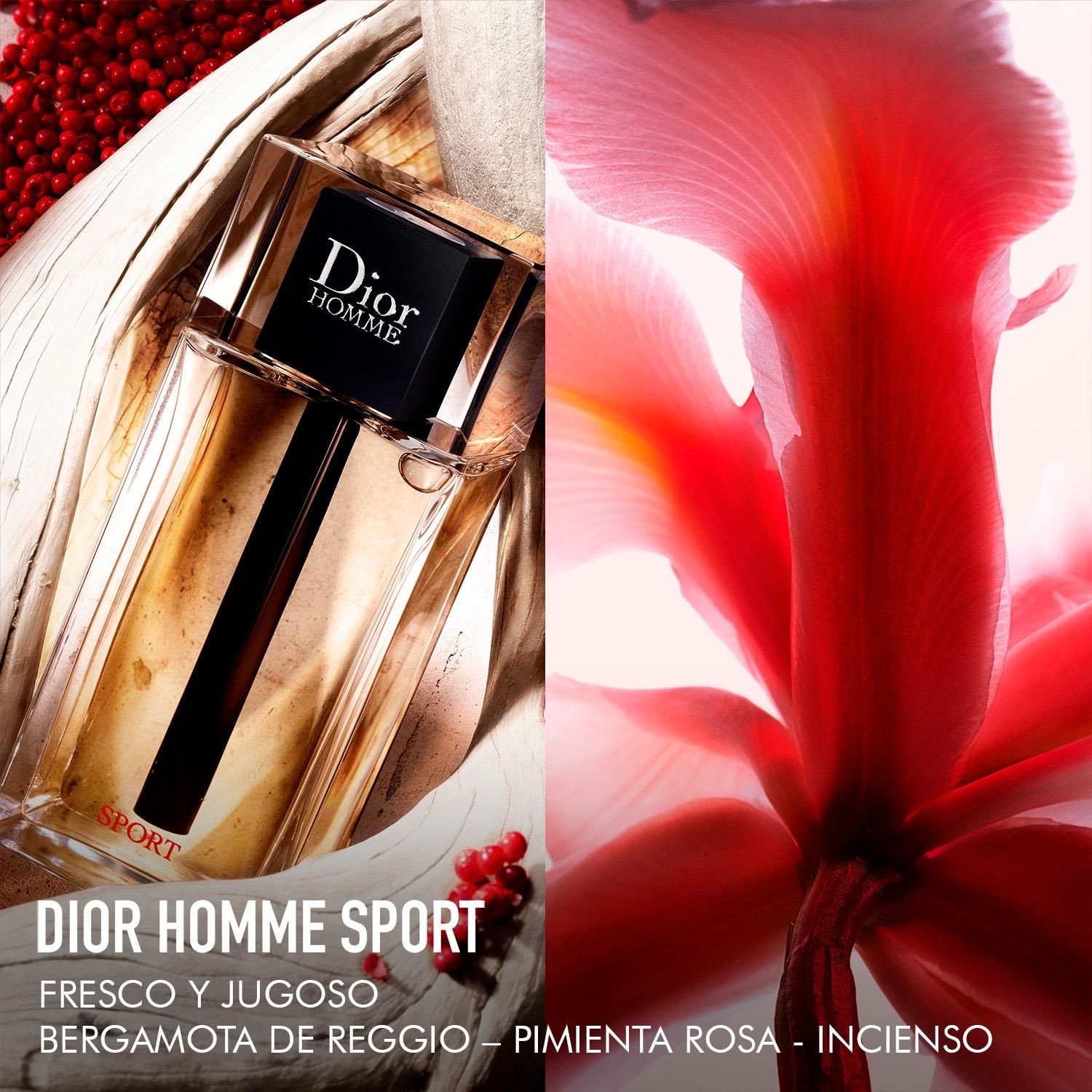 DIOR Perfume Hombre Dior Homme Sport - Eau de toilette - Notas