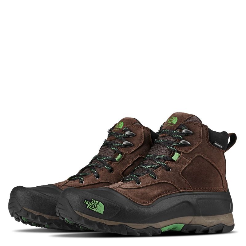 THE NORTH FACE - Bota Snowfuse Zapatilla Outdoor Hombre Impermeable Cafe The North Face