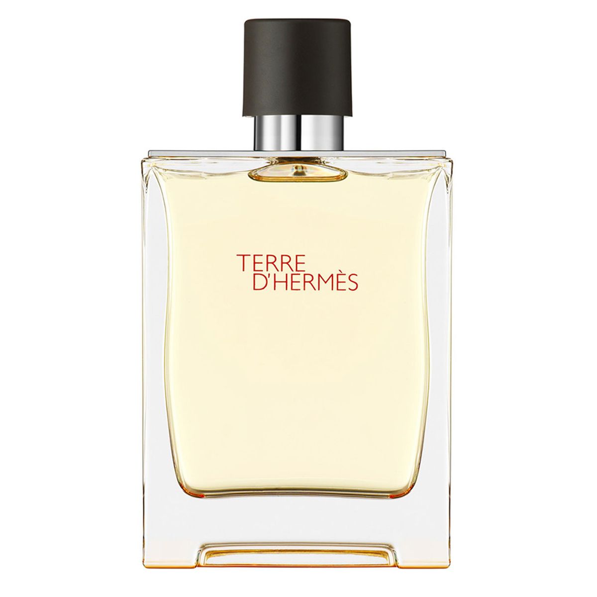 HERMES - Perfume Hombre Terre d'Hermès Eau de Toilette 200 ml Hermès