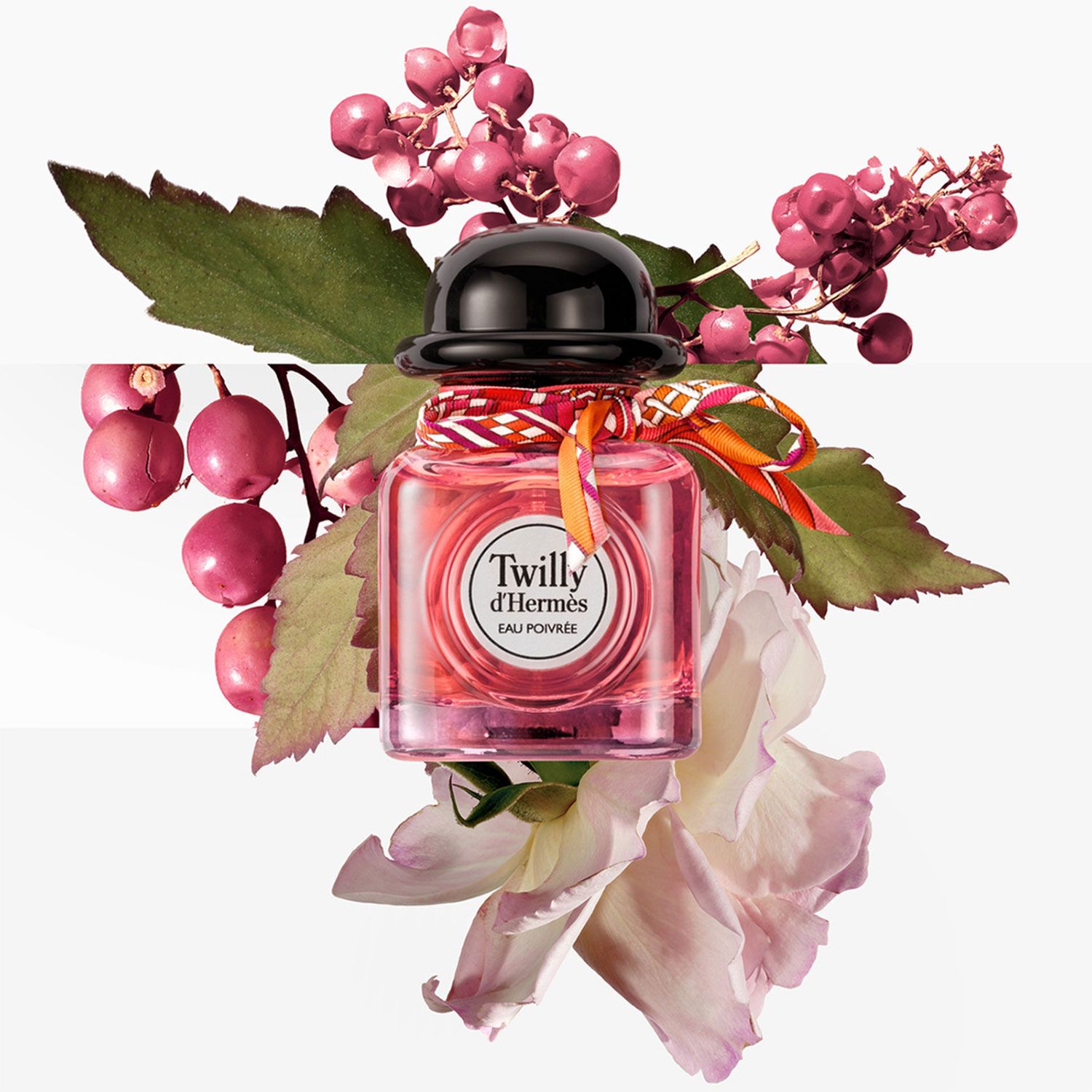 HERMES Perfume Mujer Twilly d'Hermès Eau Poivrée Eau de Parfum 50