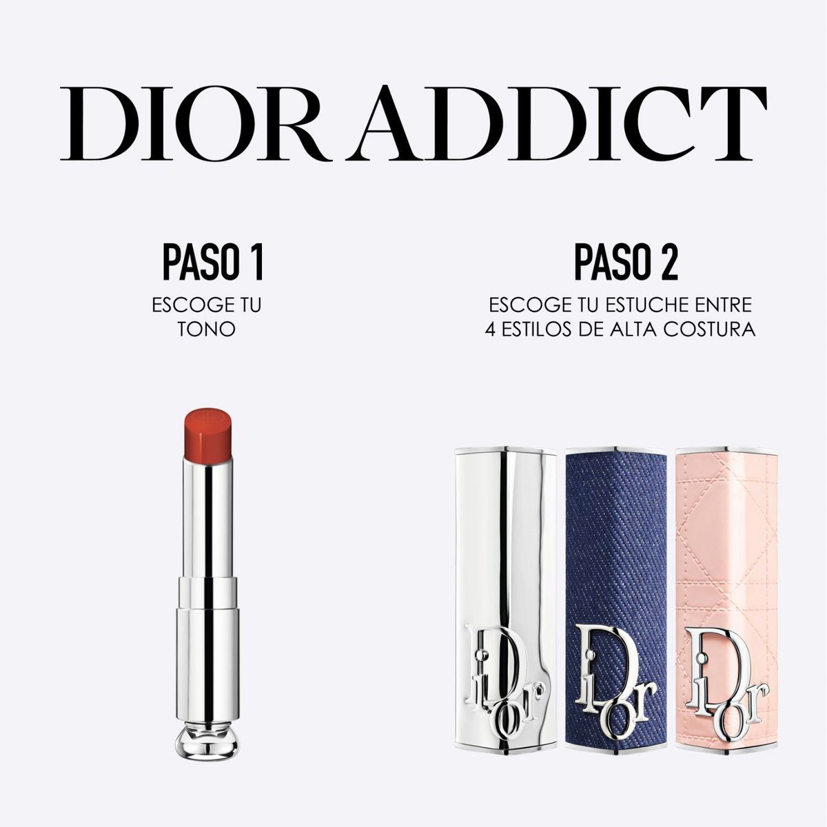 DIOR - Labial Dior Addict Lipstick Fashion Case Silver