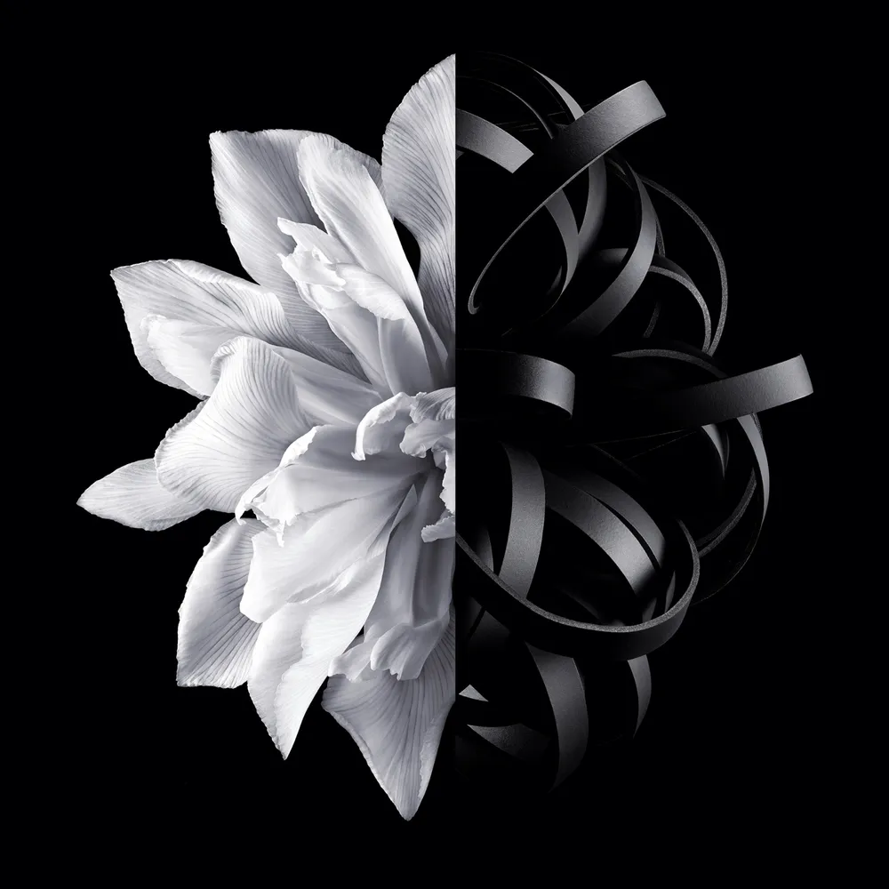 Givenchy L'Interdit EDT 50 ml, foto 5