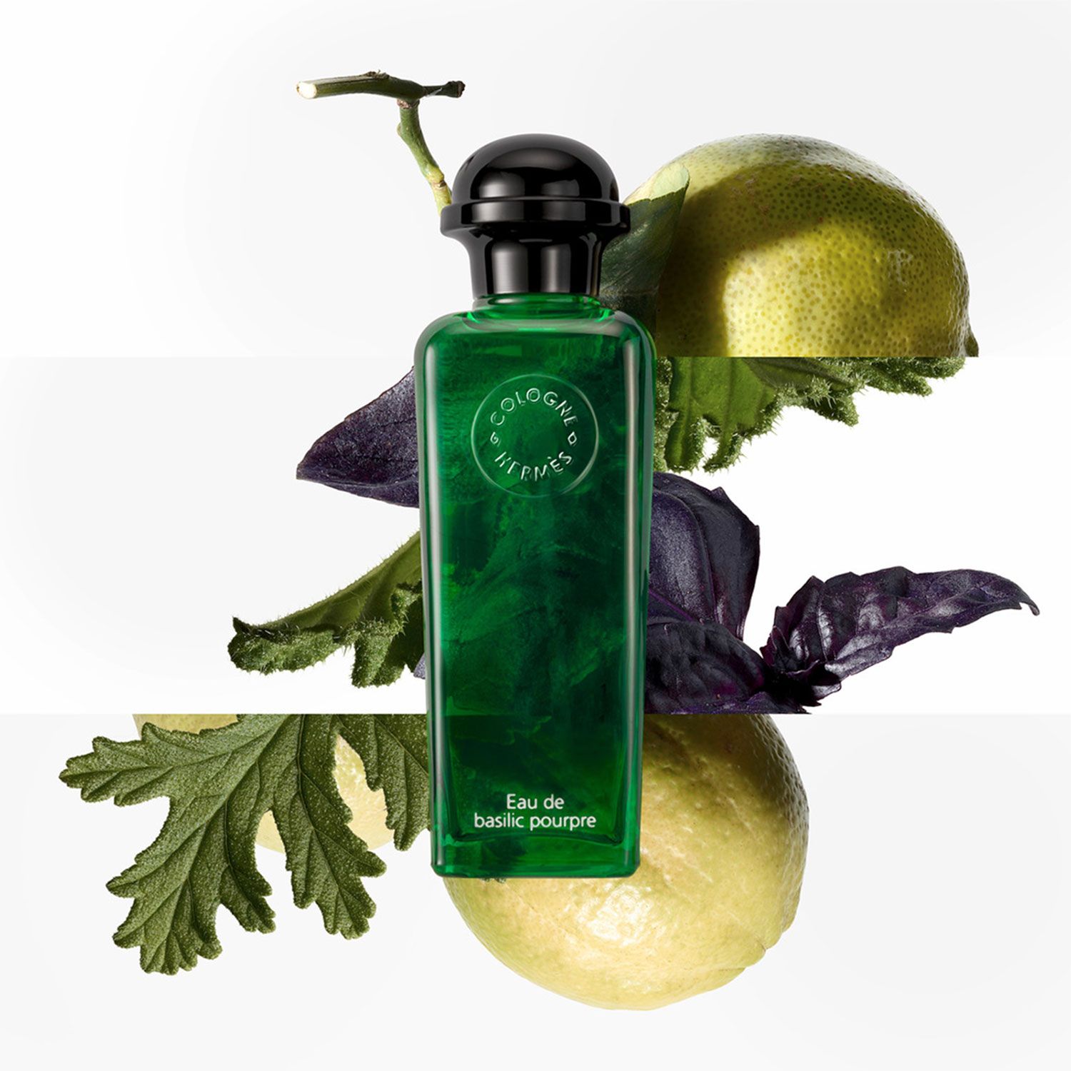 HERMES Perfume Eau de Basilic Pourpre Eau de Cologne 100 ml Hermès