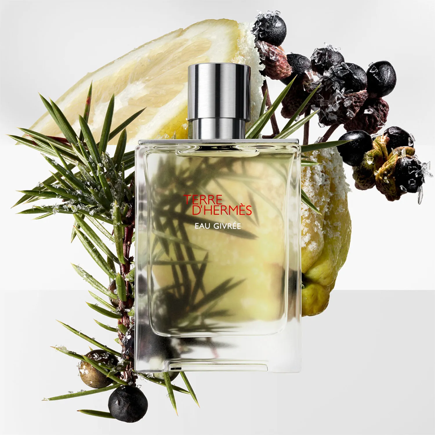 HERMES Perfume Hombre Terre D'hermès Eau Givrée Edp 50 Ml Hermes
