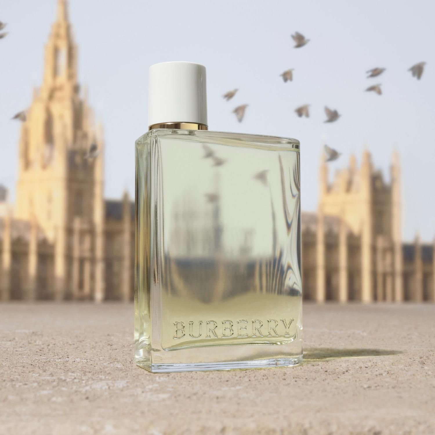 BURBERRY Burberry Her Eau De Toilette Para Mujer | Falabella Chile