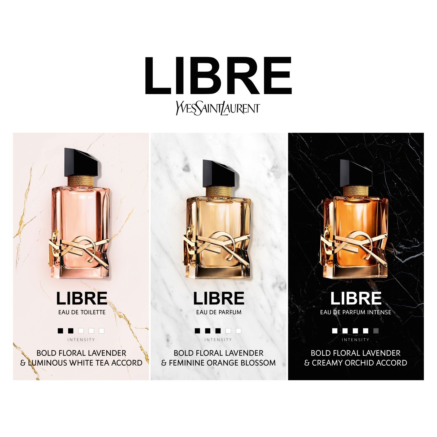 YVES SAINT LAURENT Perfume Mujer Libre Edt 50Ml Yves Saint Laurent