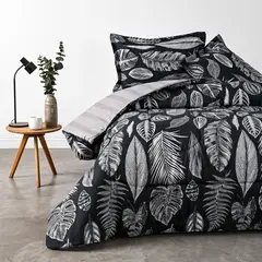 ELEMENTS & CO - Plumón Blacknature