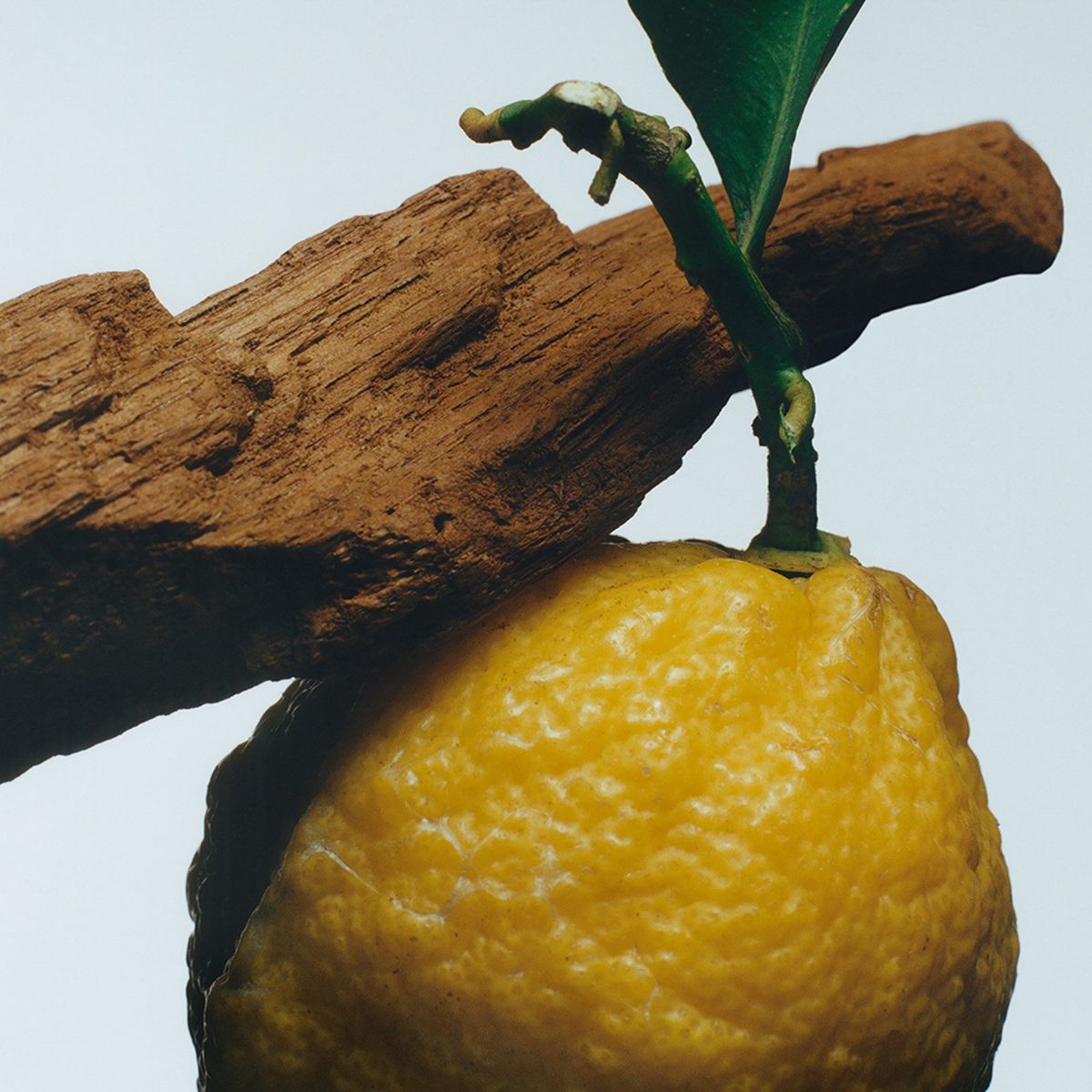 JO MALONE LONDON - Cologne Intense Oud and Bergamot 100Ml Jo Malone London