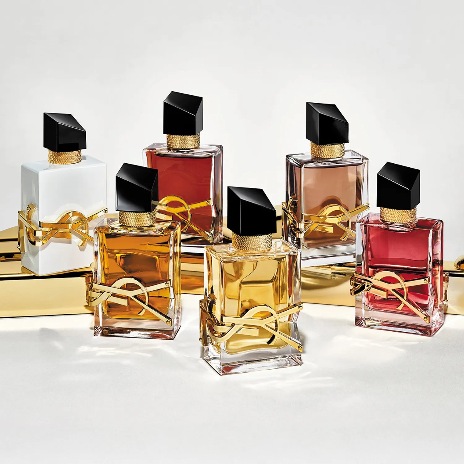 YVES SAINT LAURENT Perfume Mujer Yves Saint Laurent Libre Le