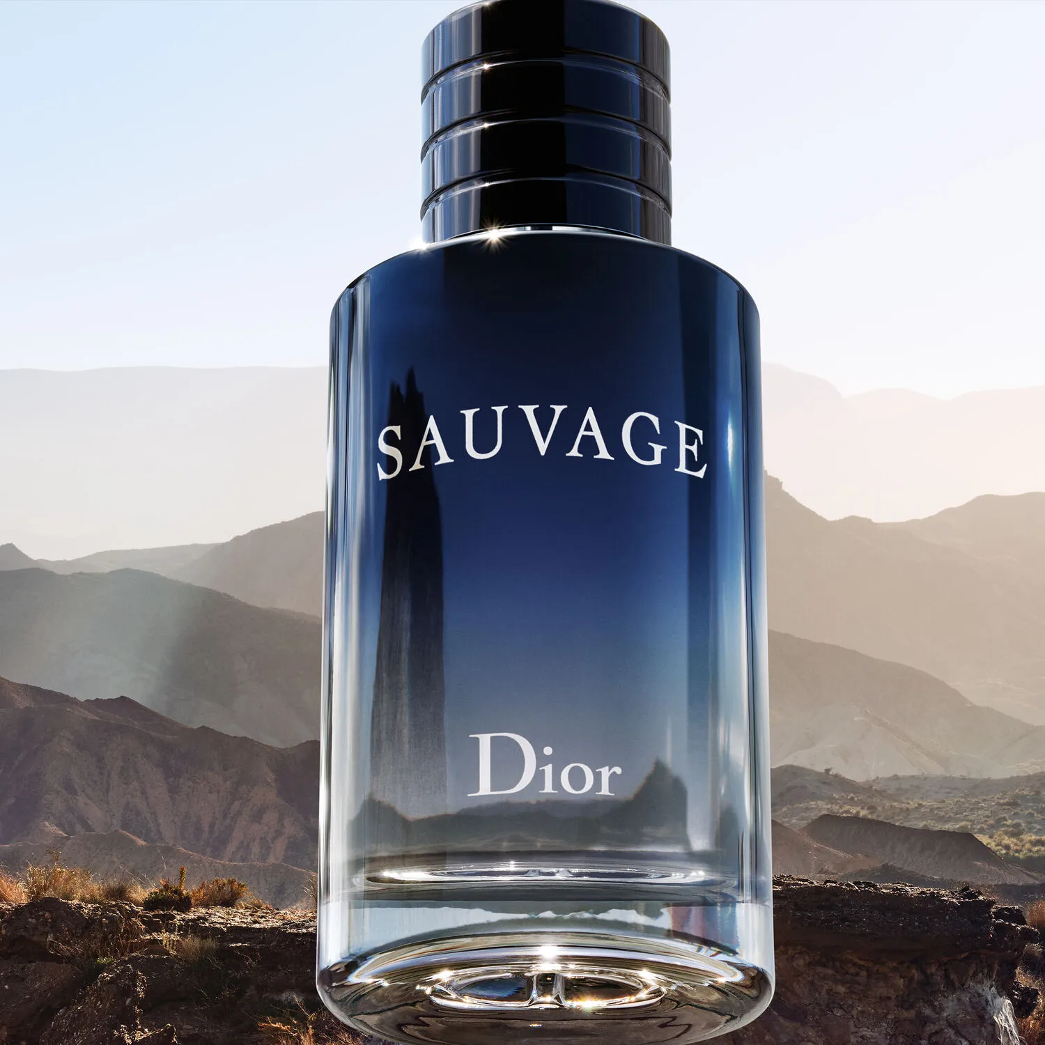 DIOR Perfume Hombre Sauvage Eau de toilette ⚡𝗖𝘆𝗯𝗲𝗿