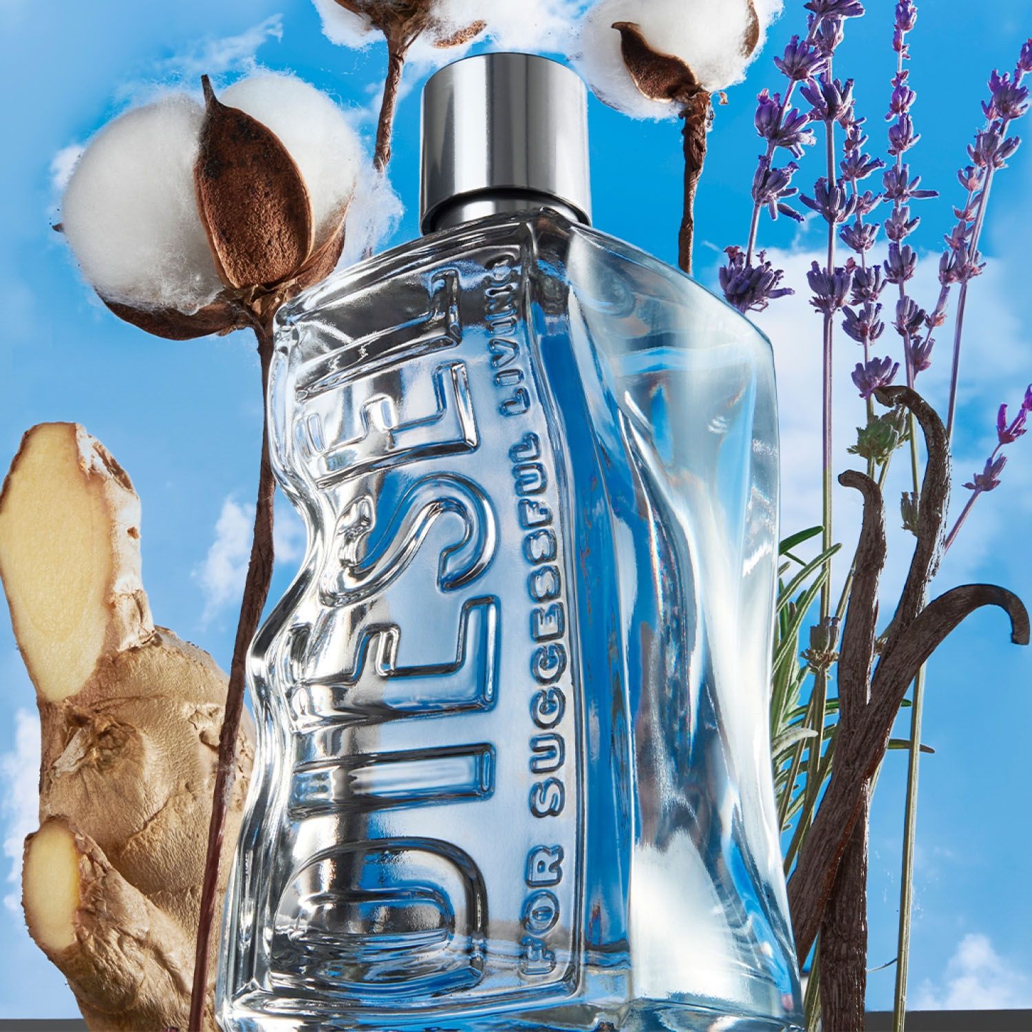 DIESEL Nuevo Perfume D by Diesel EDT 50ml Diesel | Falabella Chile