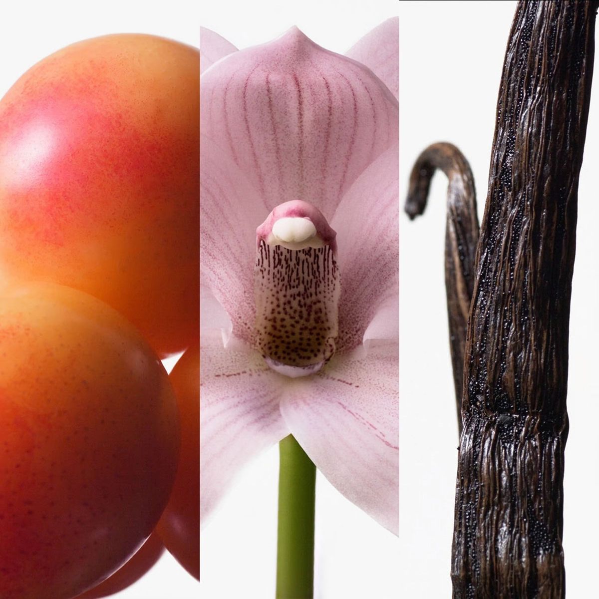 CALVIN KLEIN - Calvin Klein Euphoria Eau De Toilette Para Mujer 100 Ml