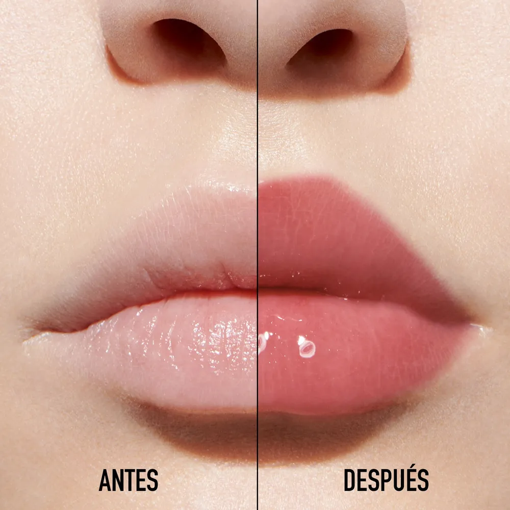 Dior Addict Lip Maximizer 009 Intense Rosewood, foto 3