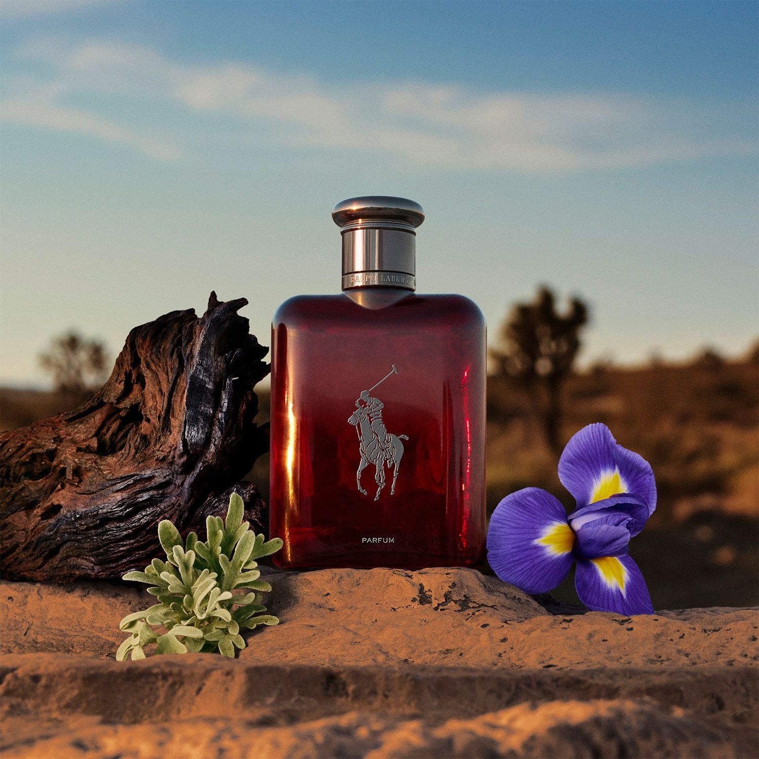 RALPH LAUREN Perfume Hombre Polo Red Edp 75 Ml Ralph Lauren