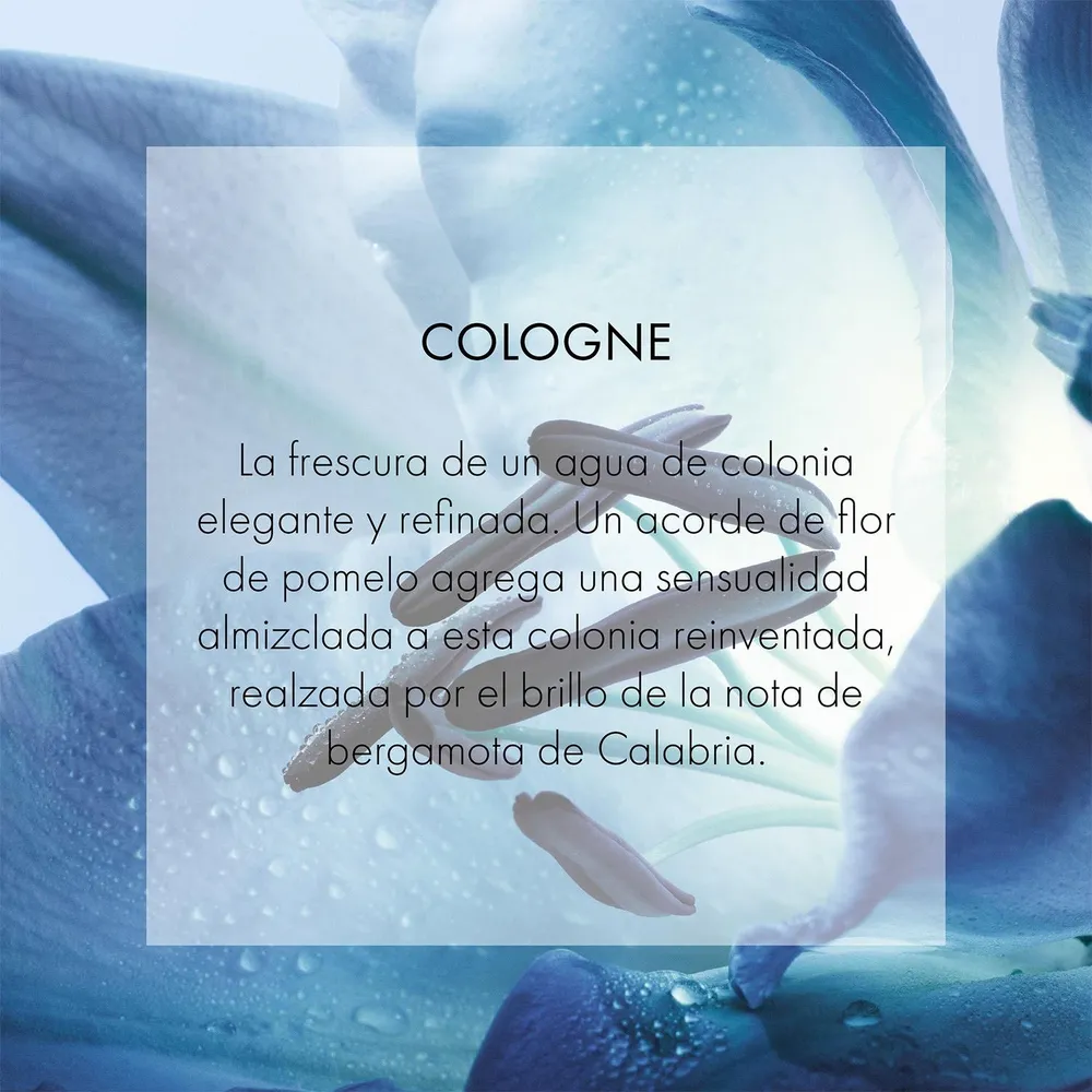 Dior Homme Cologne EDC 200 ml, foto 4
