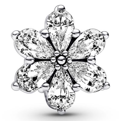 Imagen 2 del producto Charm Herbario Brillante Mujer