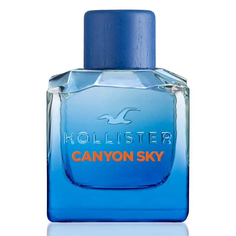 HOLLISTER - Holl Can Sky For Him Edt 100ml Hollister
