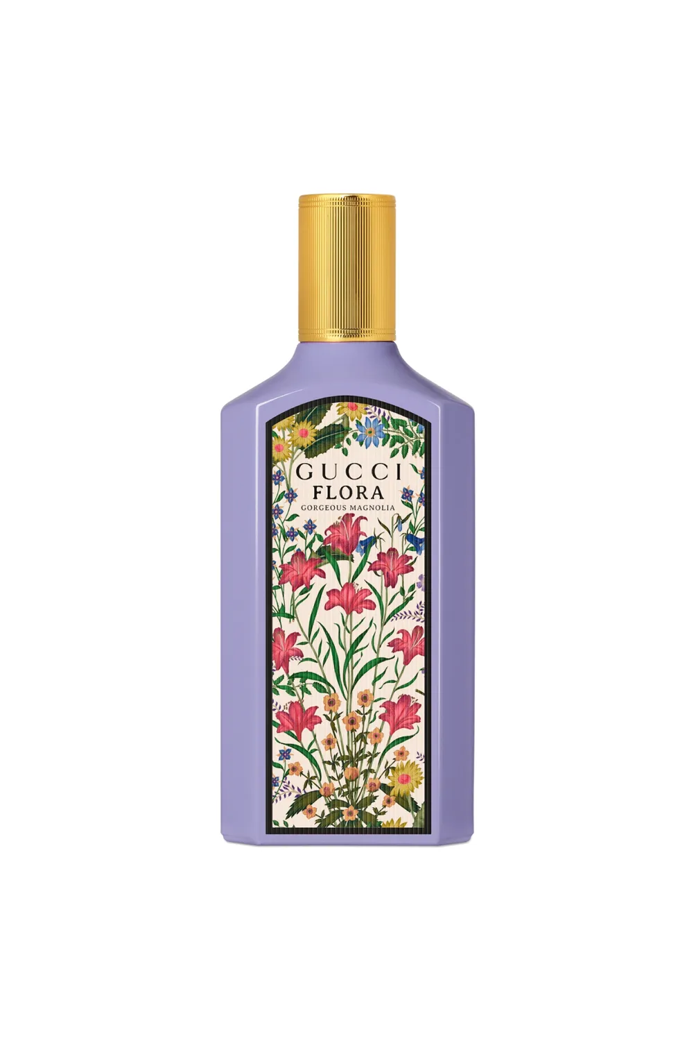 w=1004,h=1500,fit=pad