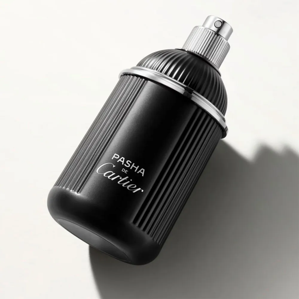 Pasha de Cartier Édition Noire EDT 100 ml, foto 3