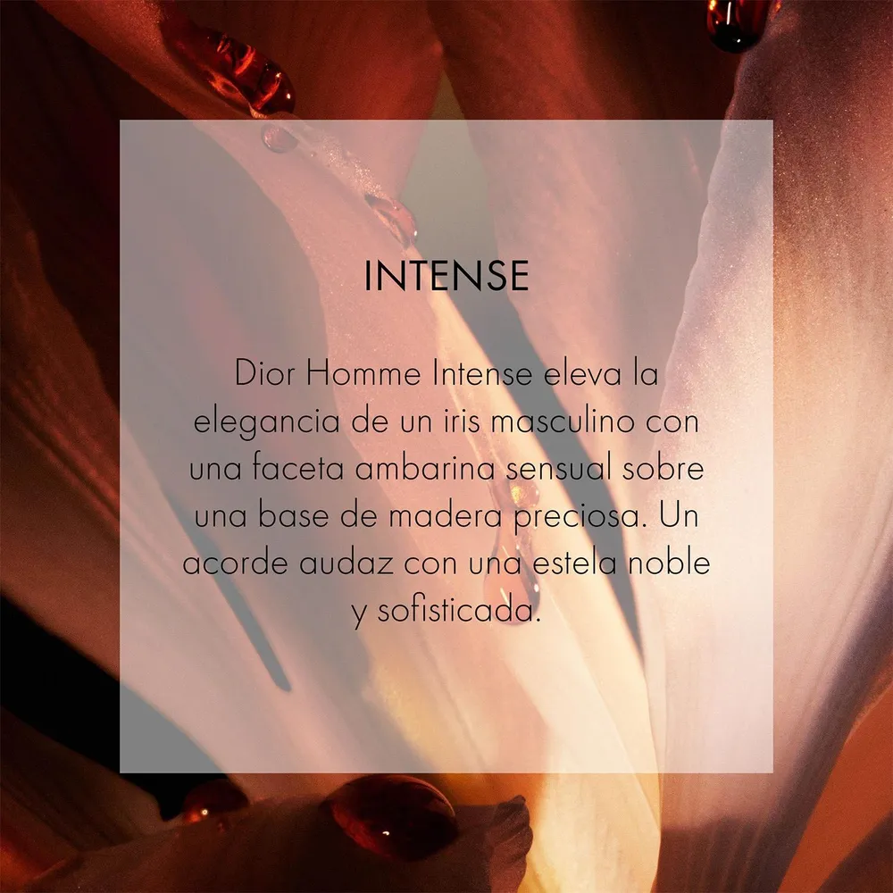 Dior Homme Intense EDP 150 ml, foto 4
